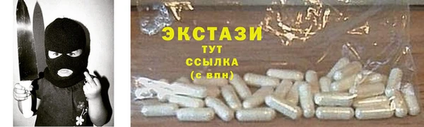 прущие грибы Горно-Алтайск
