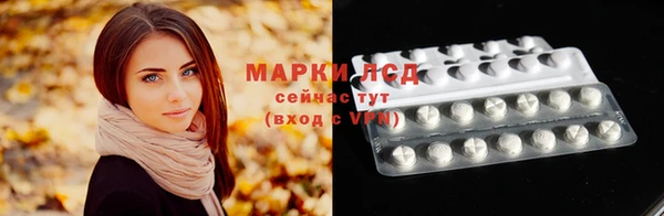 альфа пвп Новодвинск