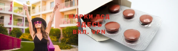 спайс Корсаков