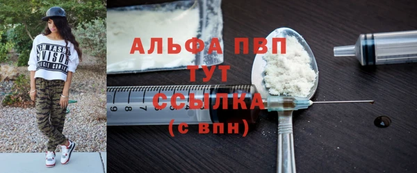 спайс Корсаков