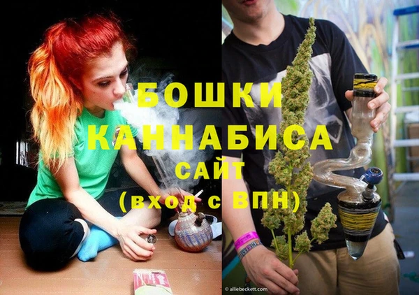 спайс Корсаков