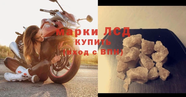 спайс Корсаков